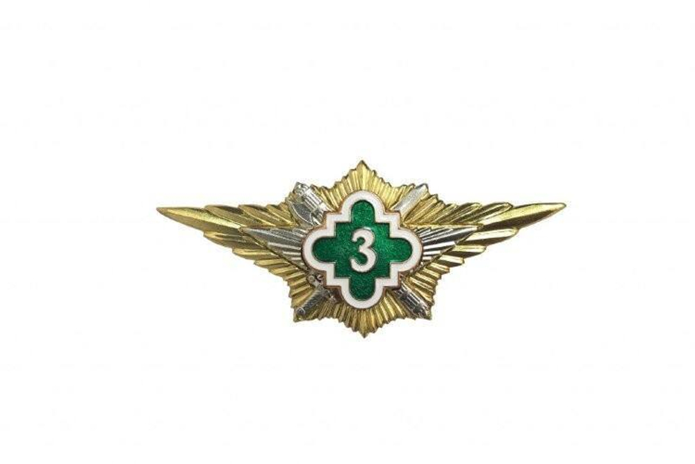 Значок Классность ФСИН 3 класс