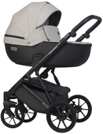 Детская коляска Riko Basic Montana X Ecco 2 в 1 31 Light Silver-Black (св.серый-черный)