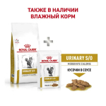 Royal Canin корм сухой для взрослых кошек склонных к набору веса при мочекаменной болезни