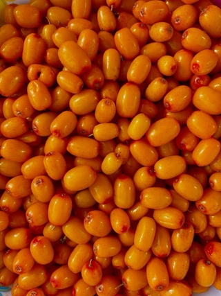 Облепиха спелая