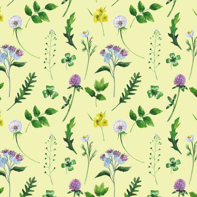 Луговые цветы и дикие травы на жёлтом фоне