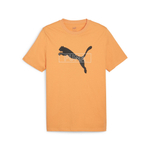 Мужская футболка PUMA DESERT ROAD Graphic Tee