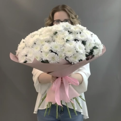 Хризантема Алтай 25 стеблей в пышном букете.