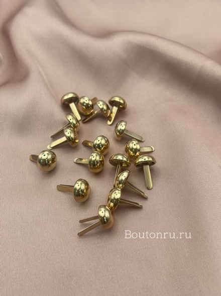 Брадсы золотистые