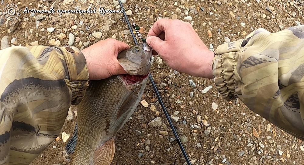 Озеро Красное - трофейная рыбалка в центральной Чукотке