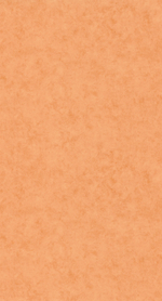 101483312 Винил на флизе (1*12) 0,53х10,05 (Beton2)
