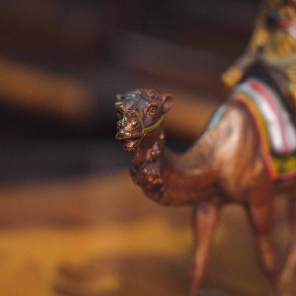 «Мехарист на верблюде»