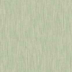 Equinox / Magic Flowers