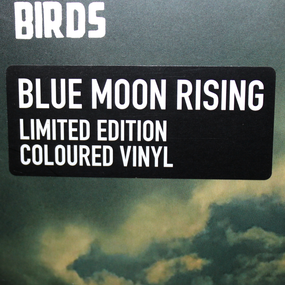 Noel Gallagher's High Flying Birds / Blue Moon Rising (Coloured Vinyl)(12" Vinyl EP)