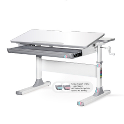 Стол письменный для школьника Ergokids Edmonton BD-610