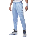 Штаны Jordan logo, DQ7333-425