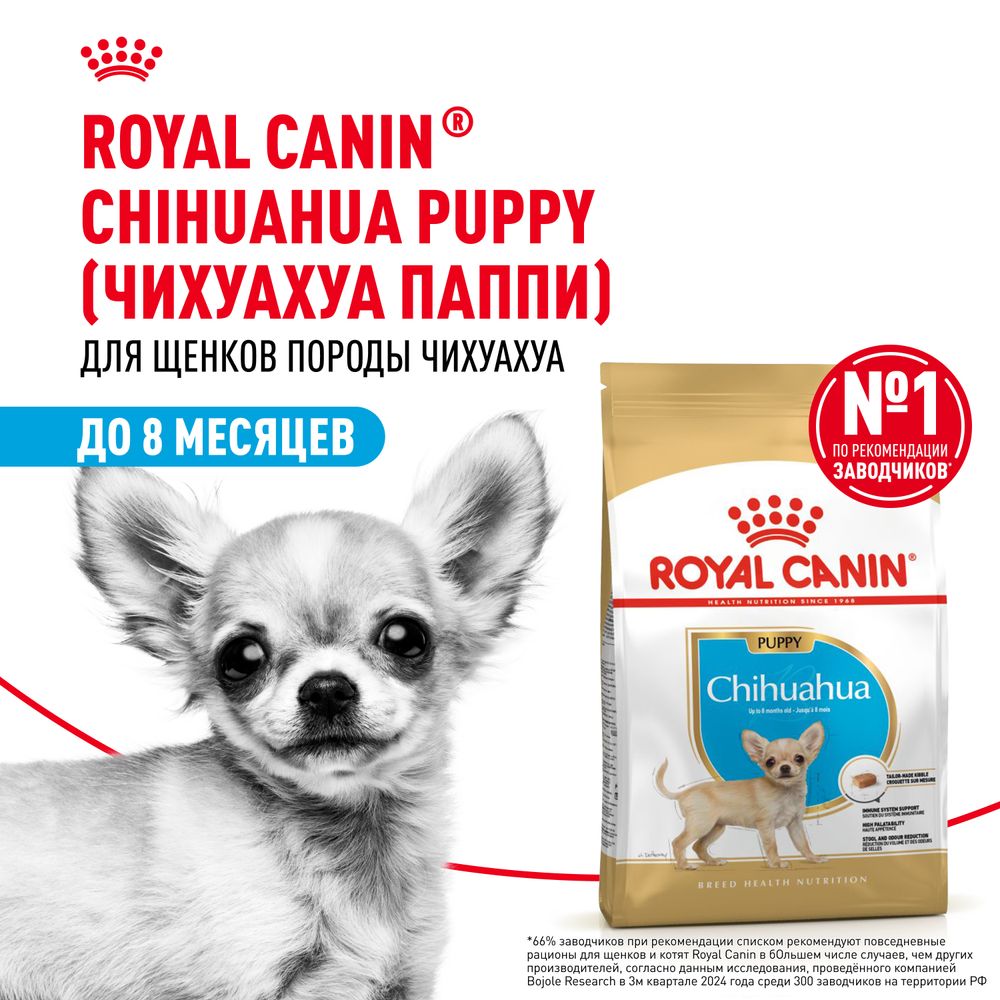 Сухой корм Royal Canin Chihuahua Puppy для щенков породы Чихуахуа до 8 месяцев Сухой корм Royal Canin Chihuahua Puppy для щенков породы Чихуахуа до 8 месяцев