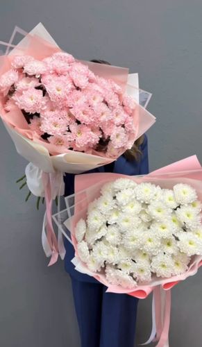 7B7D3ABE-03DC-472D-9E41-3719D33F86DE.jpg@jpg