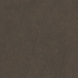 Sandstone Brown PRO Керамогранит коричневый 60х60 матовый R10GR