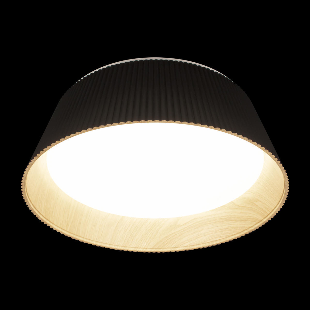 10224 Black Потолочный светильник LOFT IT Evans