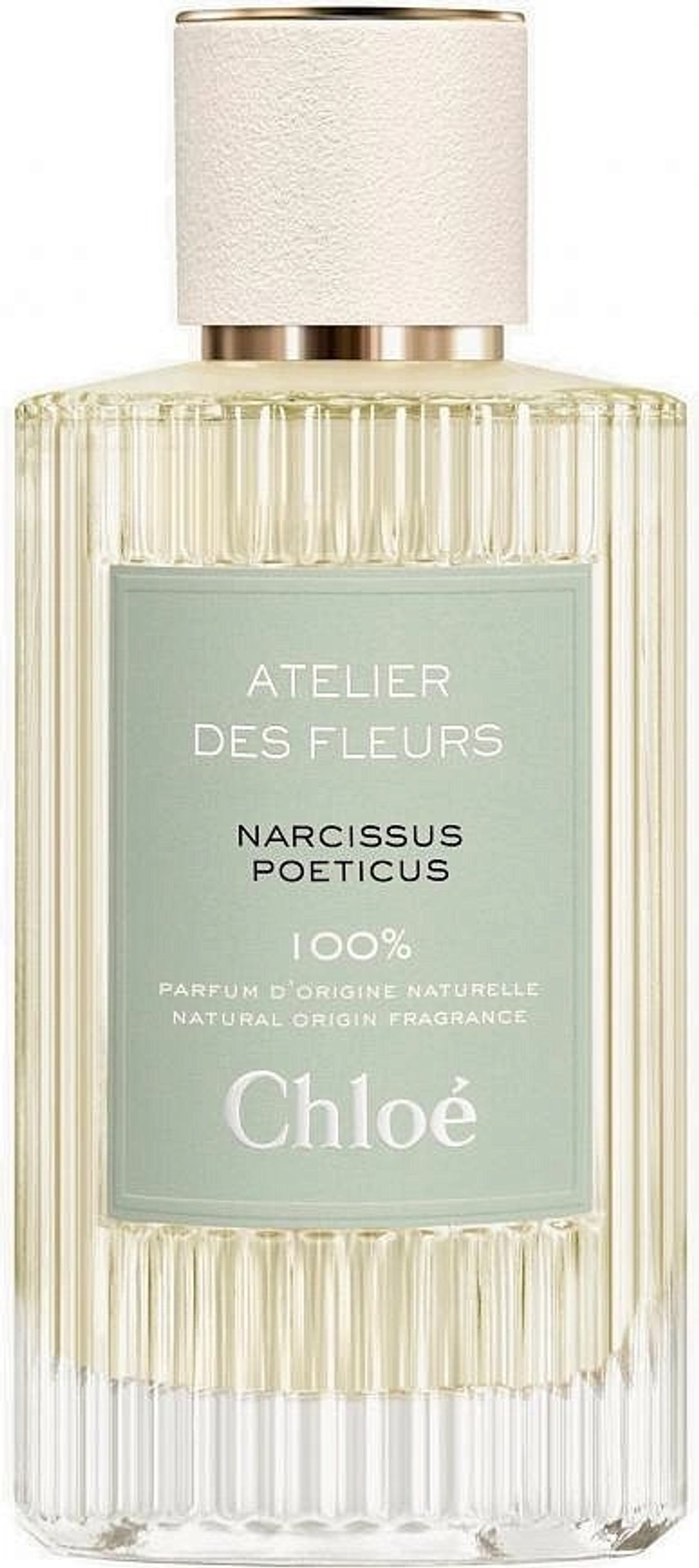 Chloe Atelier Des Fleurs Narcissus Poeticus
