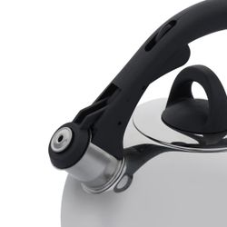 Чайник для плиты Gipfel Cosmo 8601 2,5 л