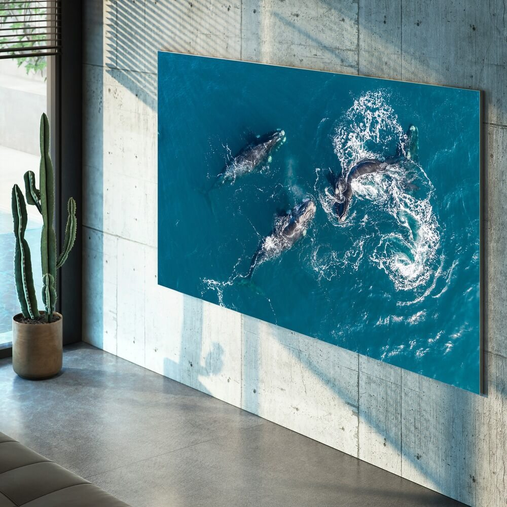 Телевизор Samsung MICROLED MS1 MNA89MS1BACXRU