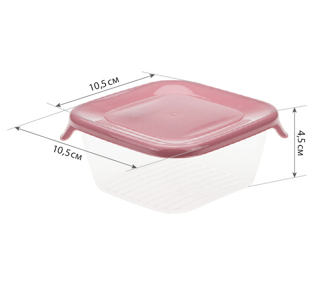 Емкость для продуктов ПРАКТИК 0,25л