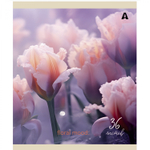 Тетрадь 36 л., А5, клетка, Alingar "Нежный букет", скрепка, офсет, мелованная бумага, 5 дизайнов в пленке т/у