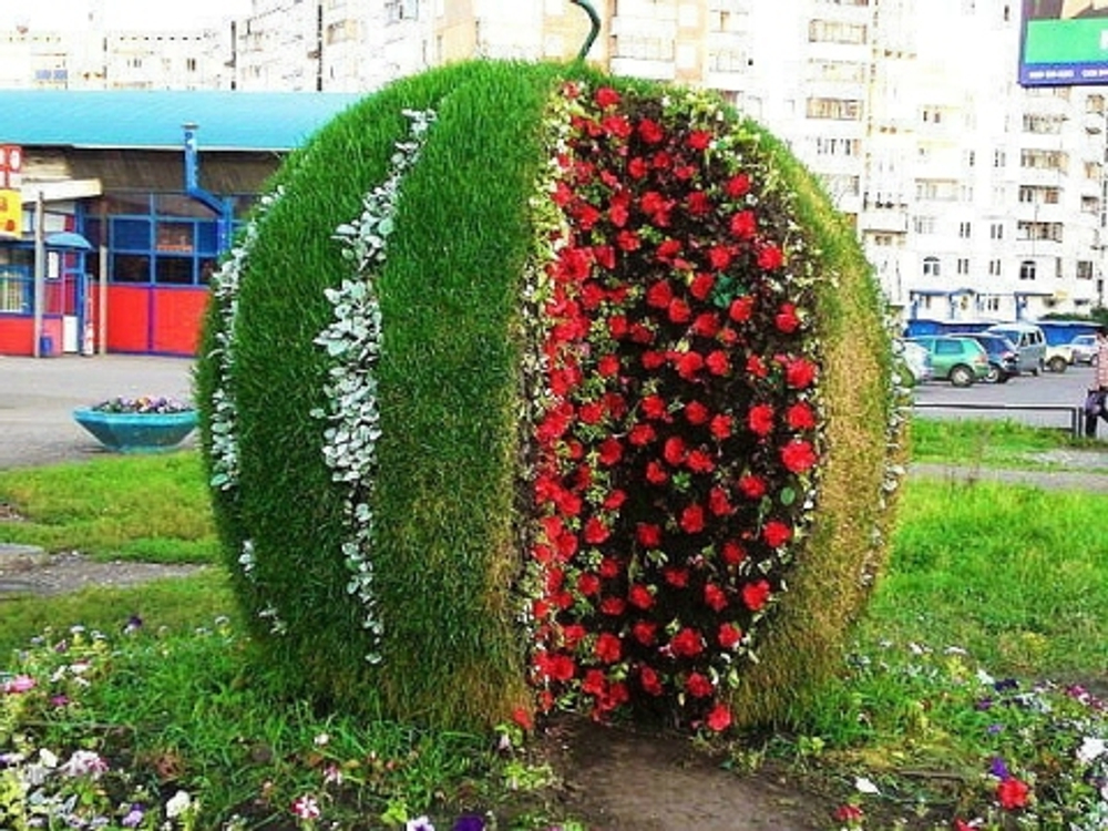 Топиарная фигура Арбуз