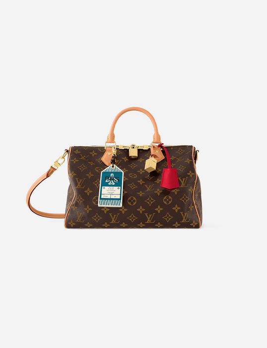 Сумка Louis Vuitton Speedy Soft 30 Crafty 