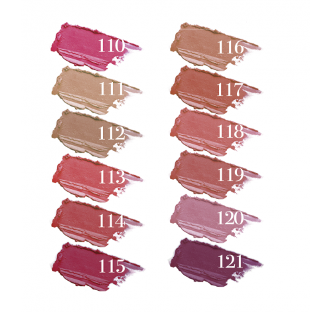 %%%%Ninelle Помада для губ Art Colour, матовая, тон №110, эконом пак, 4 гр