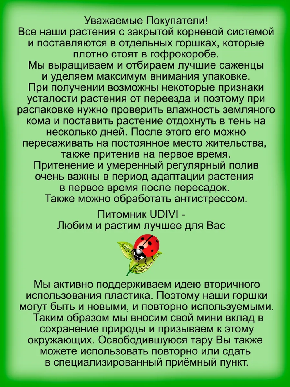 Ежевика Гай бесшипная.