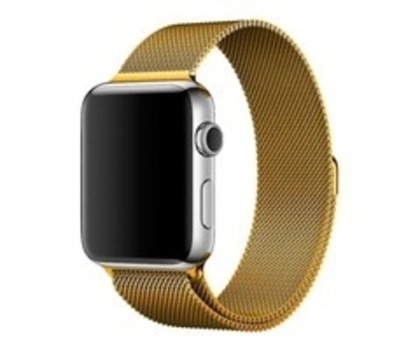 Ремешок магнитный W6 42/44mm Apple Watch  (WH5203-GD) Gold COTEetCT