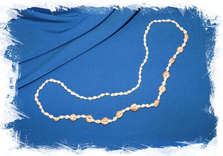 Бусы из ракушек "Белая Насса и Ципрея Аннулус"