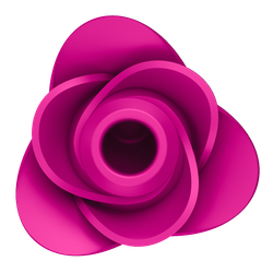 Pro 2 Modern Blossom