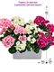 Цветущие искусственные растения в ящиках / вставках