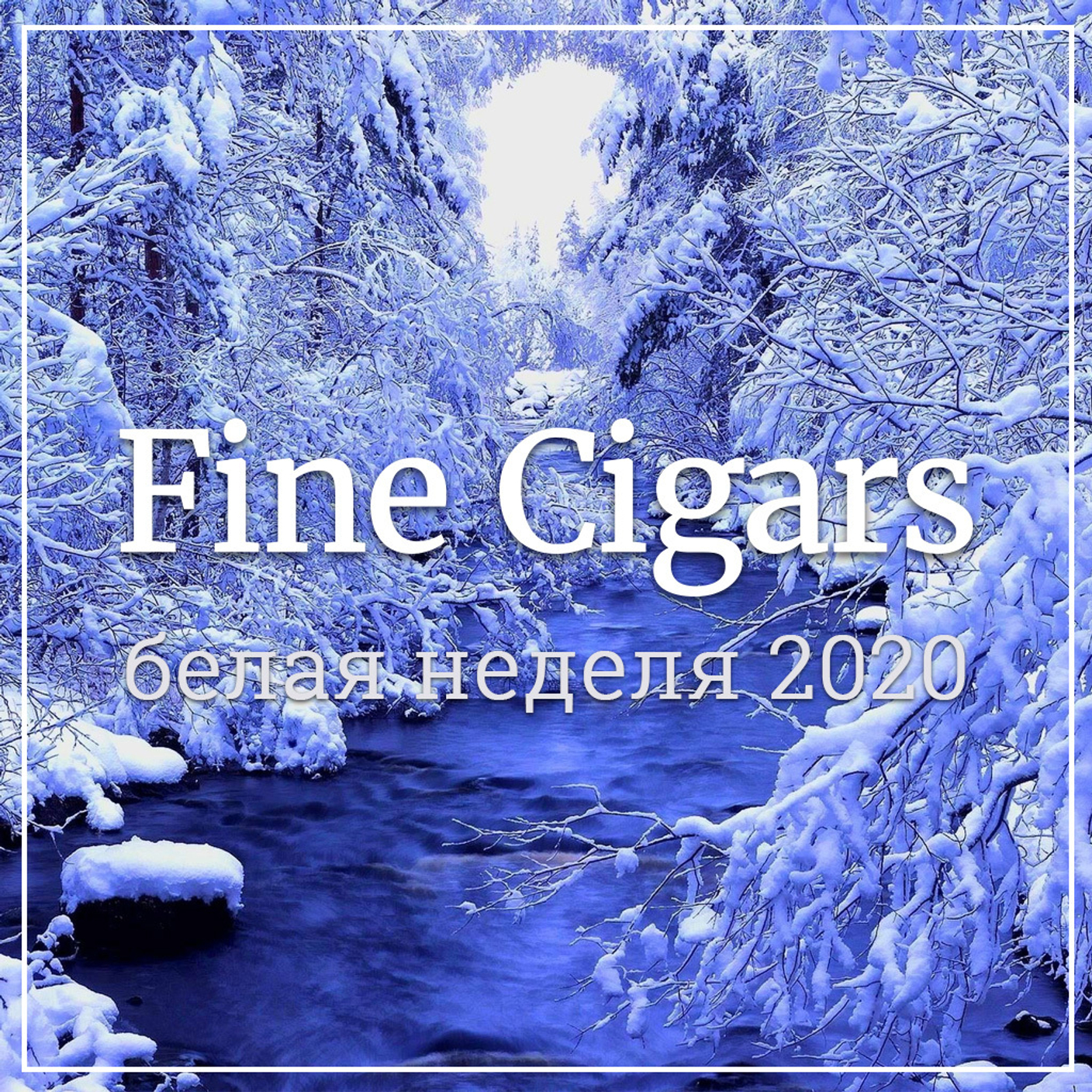 Белая неделя — скидки  15% всем!