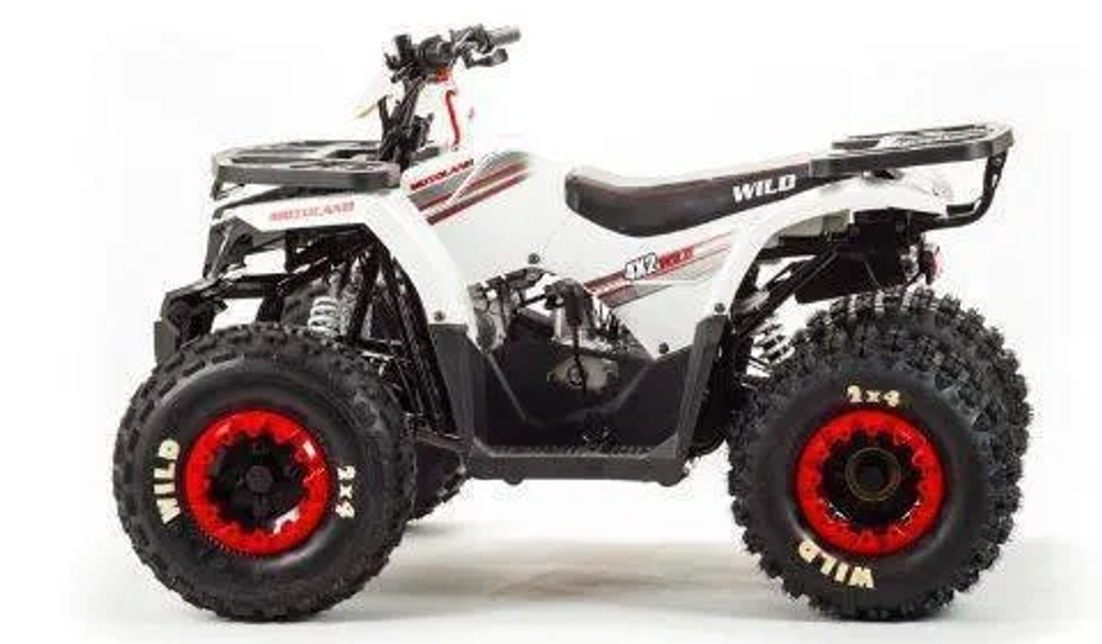 Квадроцикл MOTOLAND (МОТОЛЕНД) 125 WILD