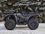 Квадроцикл BALTMOTORS BM500 EFI Черный