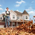 Ранцевая воздуходувка аккумуляторная Greenworks Арт. 2408107UB, 40V, бесщеточный, с АКБ 4Ач и ЗУ.