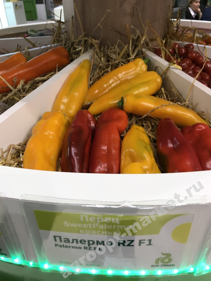 Палермо F1 семена перца сладкого – фото 5