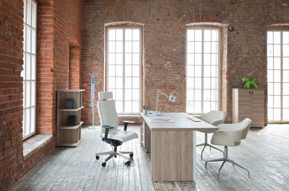 Стол письменный для руководителя TERRA (ТЕРРА)