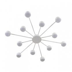 Потолочная люстра Lumion TORINA 8343/12C