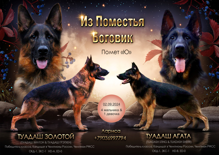 Помет "Ю"