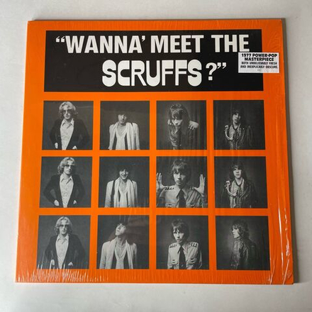 Винтажная виниловая пластинка LP The Scruffs, Wanna Meet The Scruffs (Англия 2006)