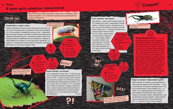 Прекрасные и опасные: насекомые, пауки, скорпионы и прочие