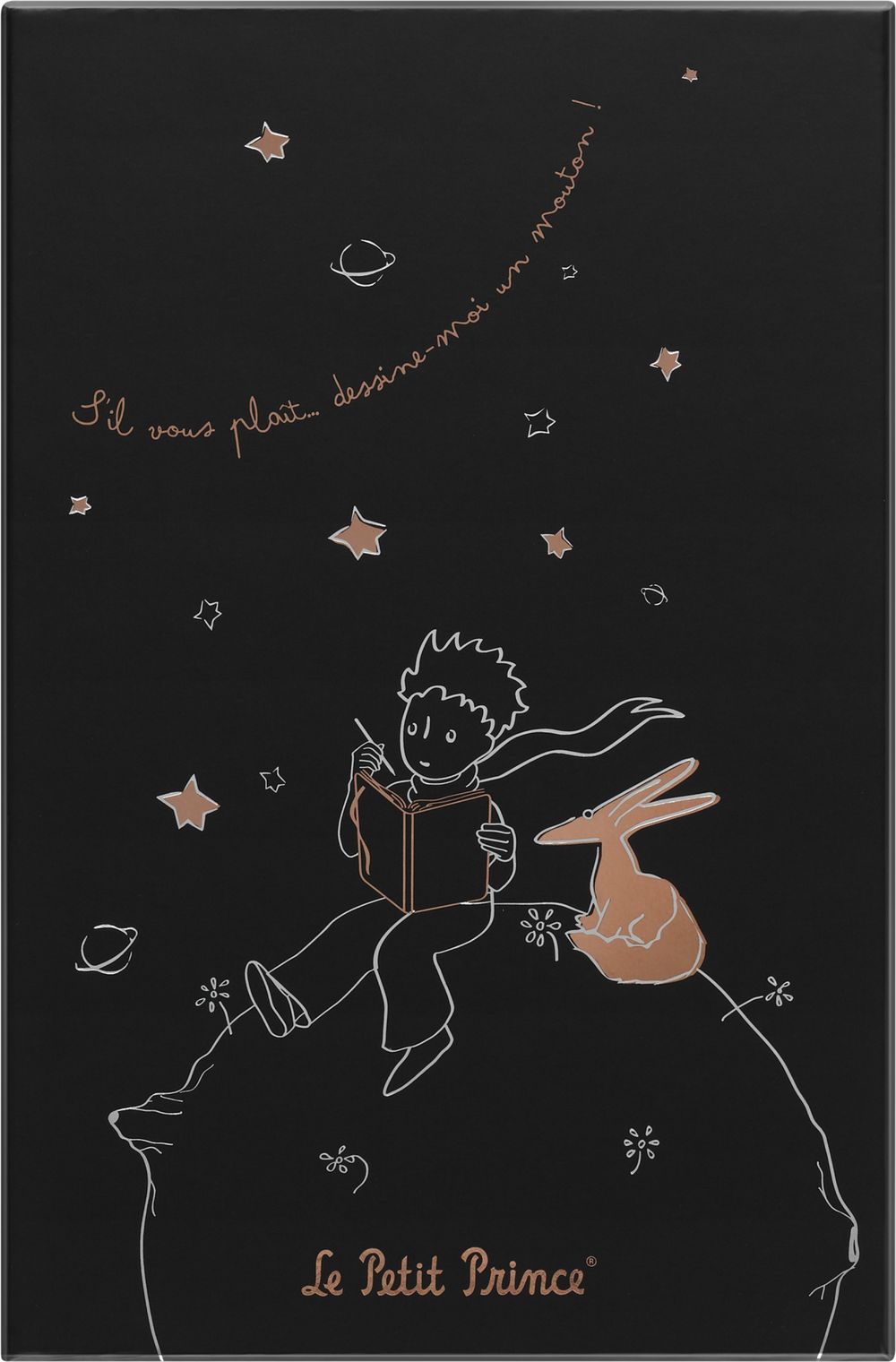 Блокнот Moleskine Petit Prince (LEPP04QP060BOX) 3