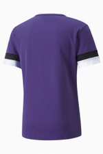 Футболка Puma teamRISE