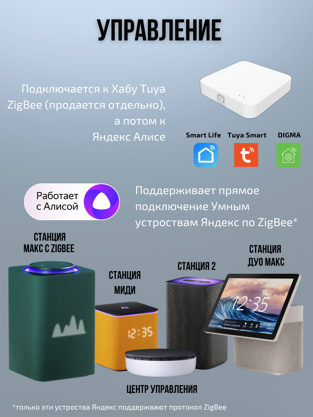 Умный выключатель ZigBee 2 клавиши для Алисы