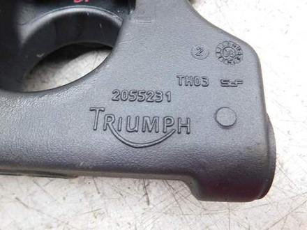 маятник Triumph Speed Triple SMTTE5865R