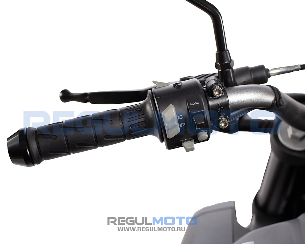 Мотоцикл Regulmoto ALIEN MONSTER 300