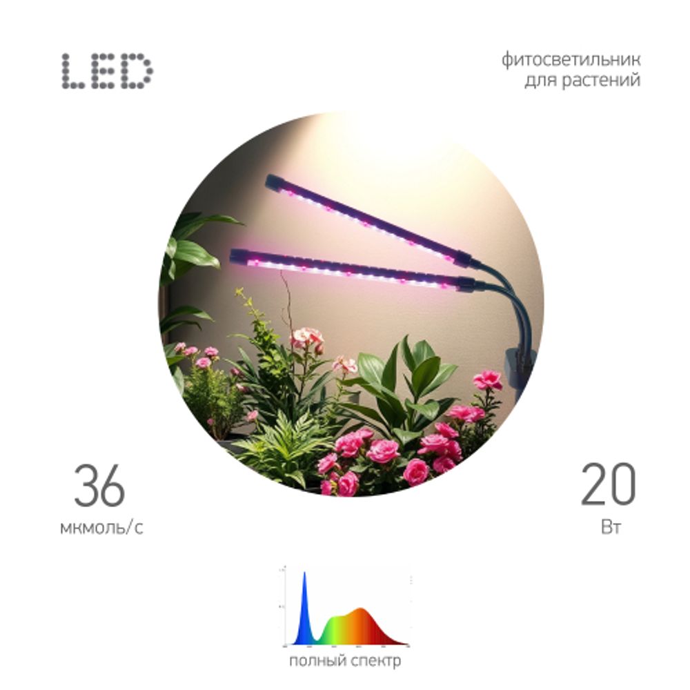 Настольный светильник для растений ЭРА FITO-20W-АLED-Ra полного спектра 20 Вт черный | Интерьерные фито светильники