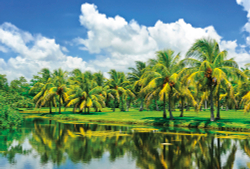 Коллекция Пейзаж