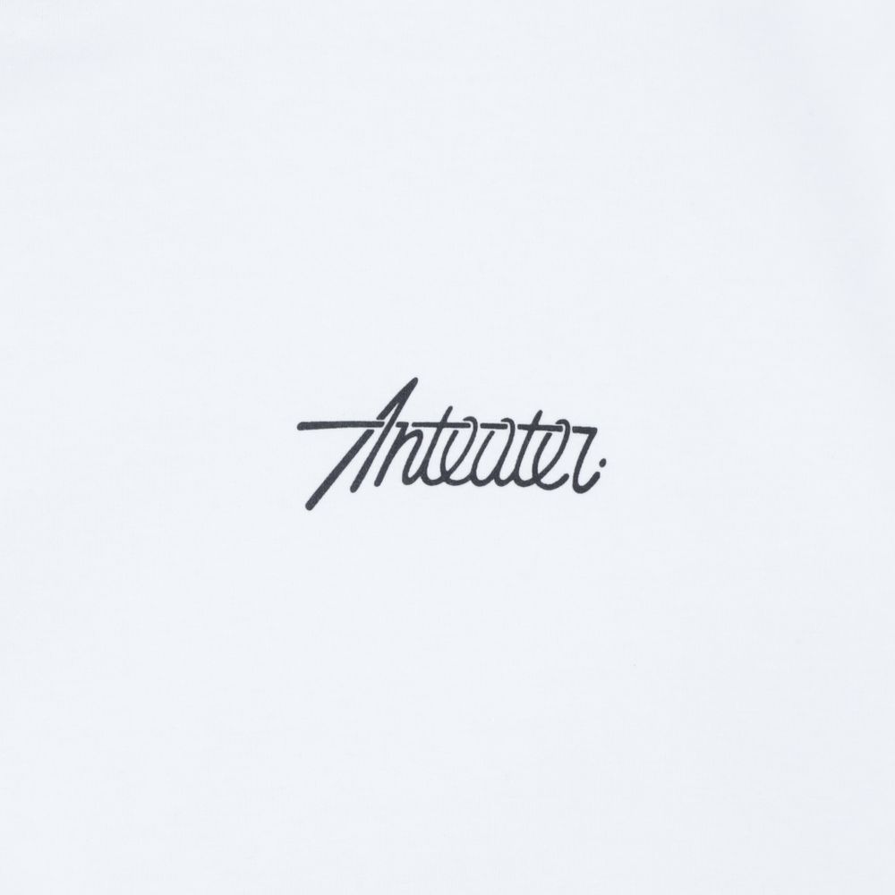 Футболка Anteater Phat 487 (white)